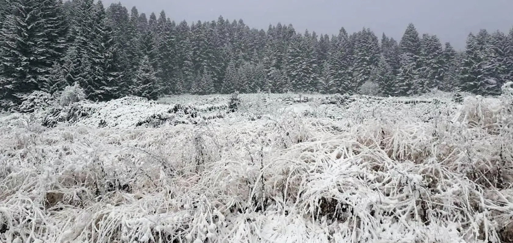 Yaylalardan kar manzarası