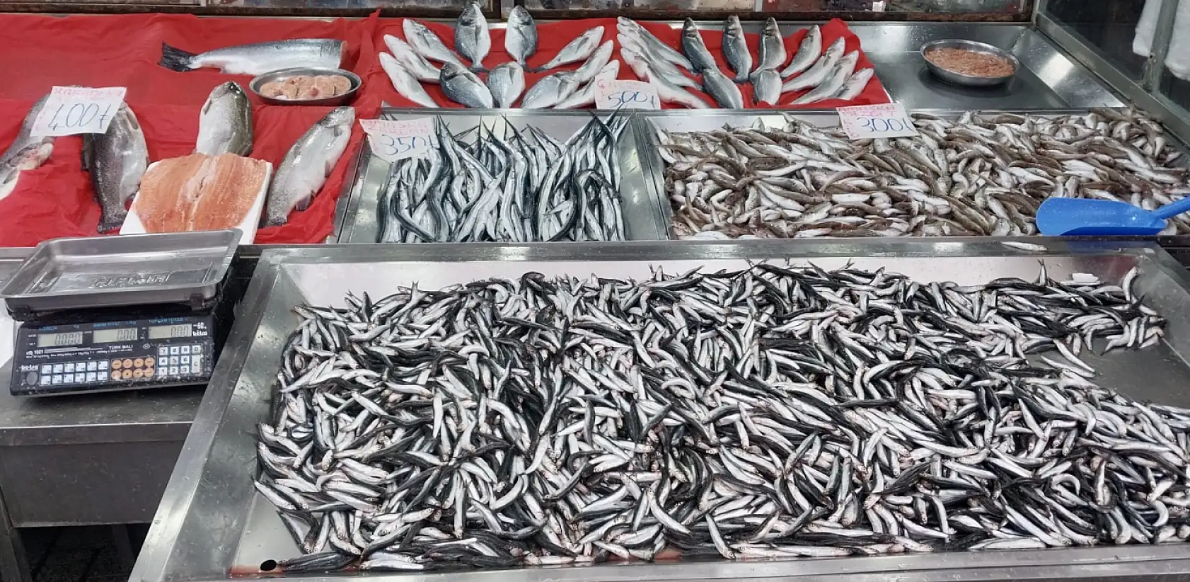 Tezgahın en uygun balığı