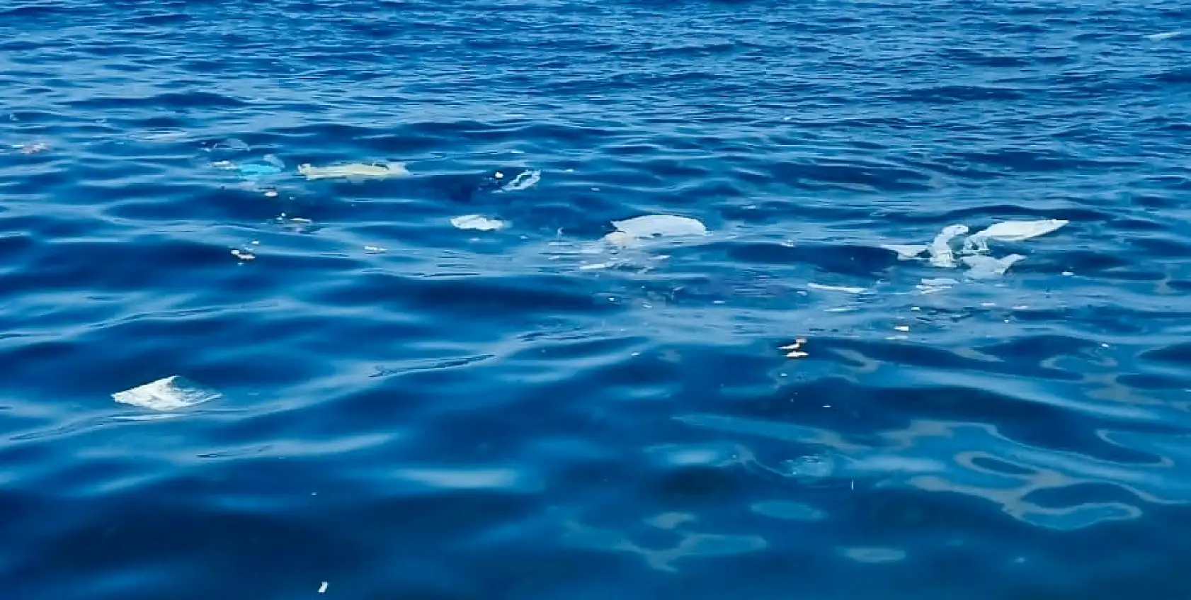 Amasra'da tepki çeken kirlilik