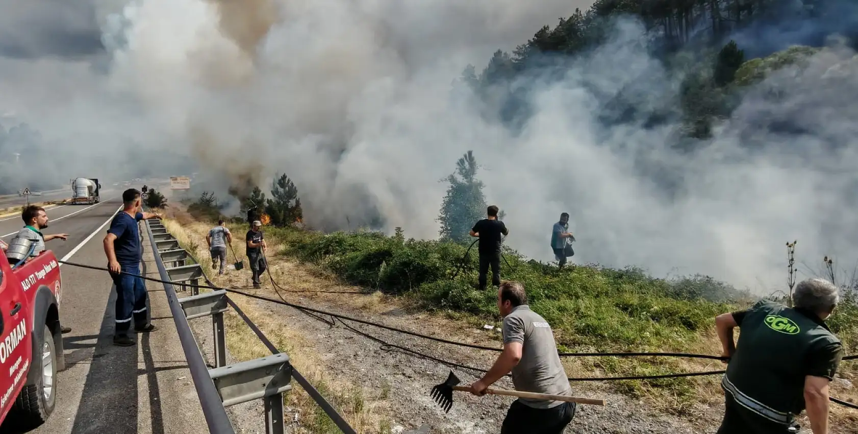 Mengen'de orman yangını
