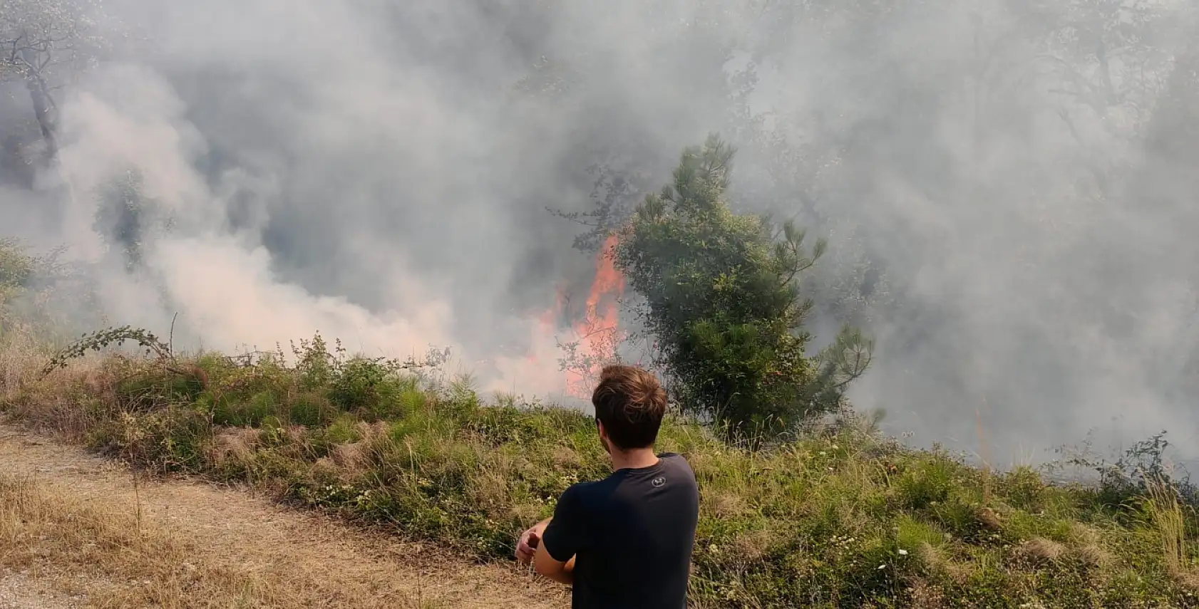 Mengen'de orman yangını