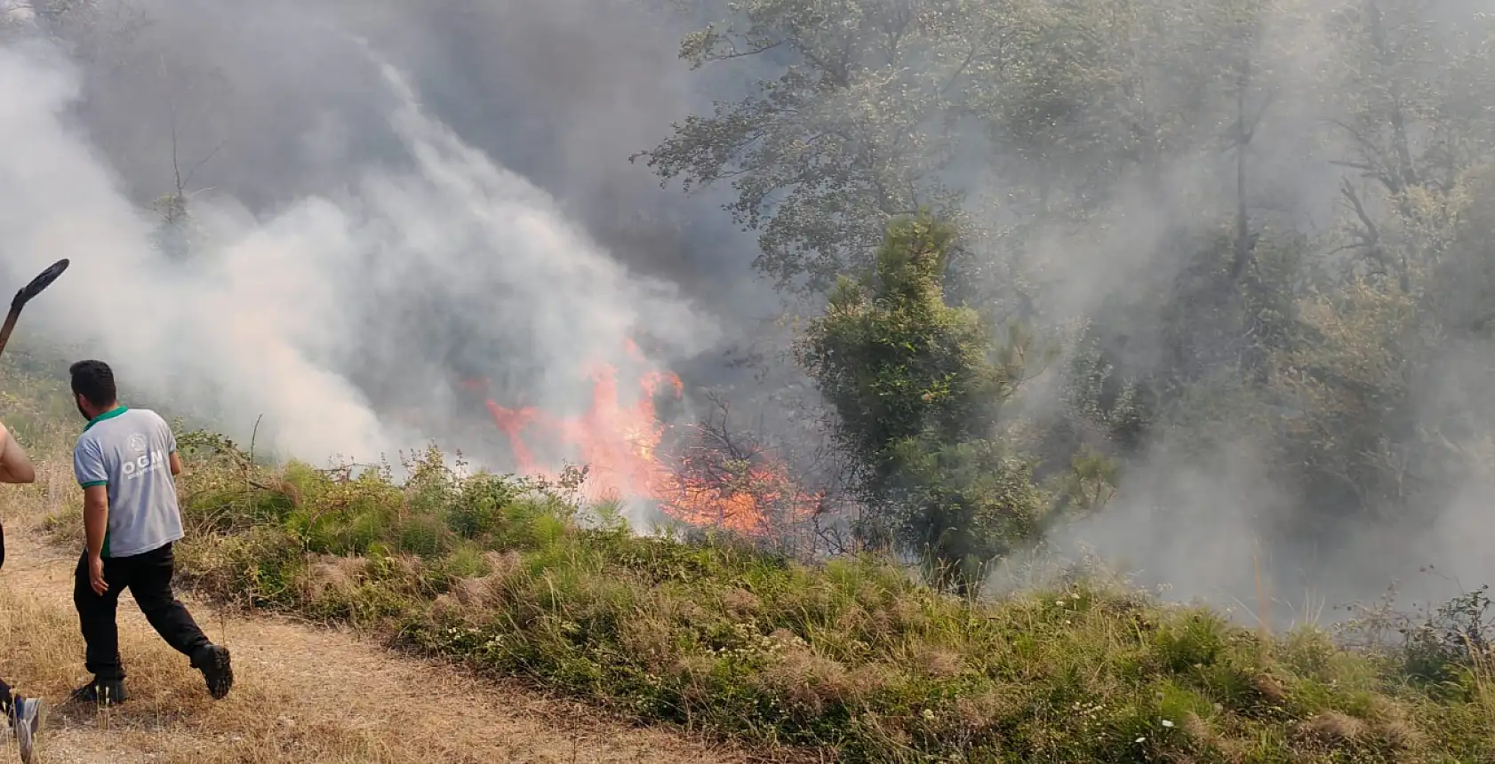 Mengen'de orman yangını