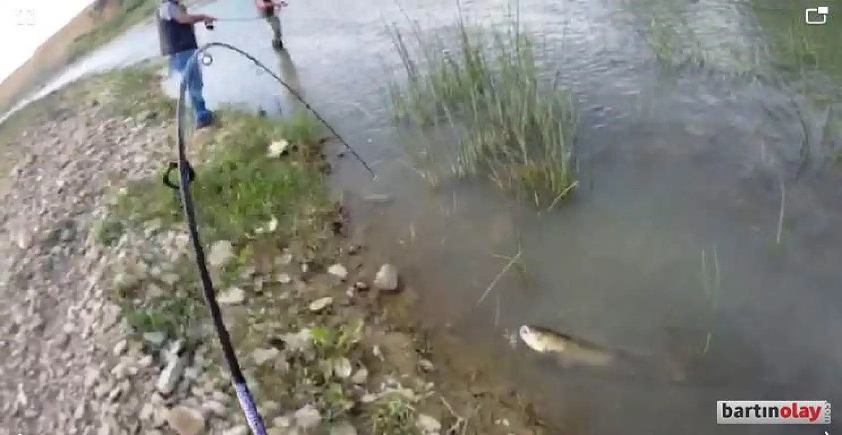 Irmakta öyle bir balık tuttu ki