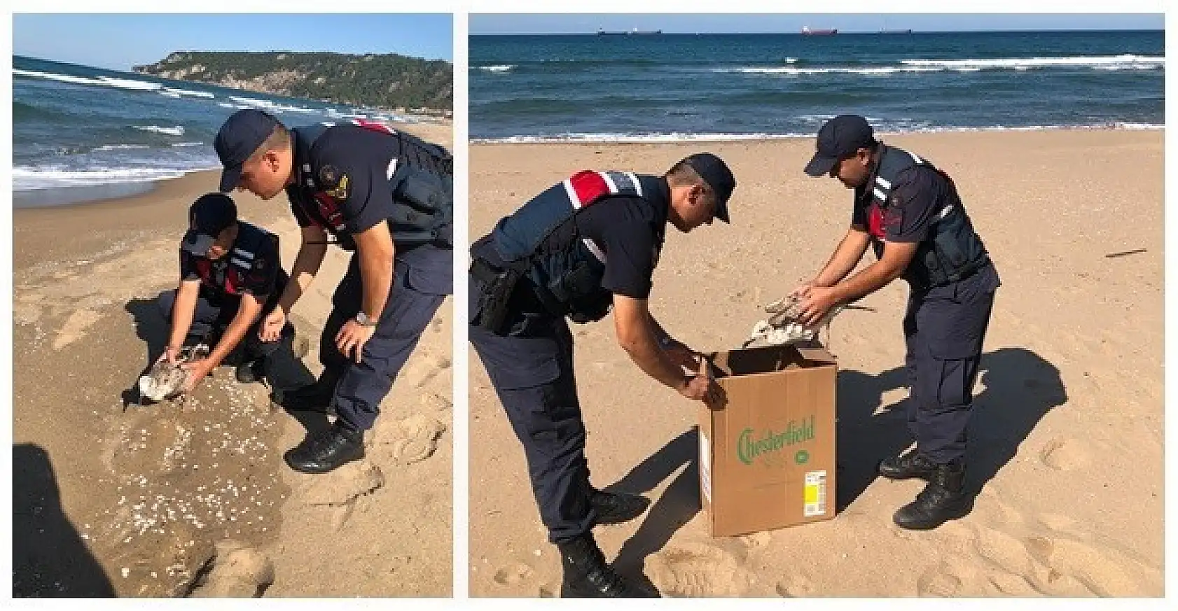 Yaralı martıya jandarma şefkati