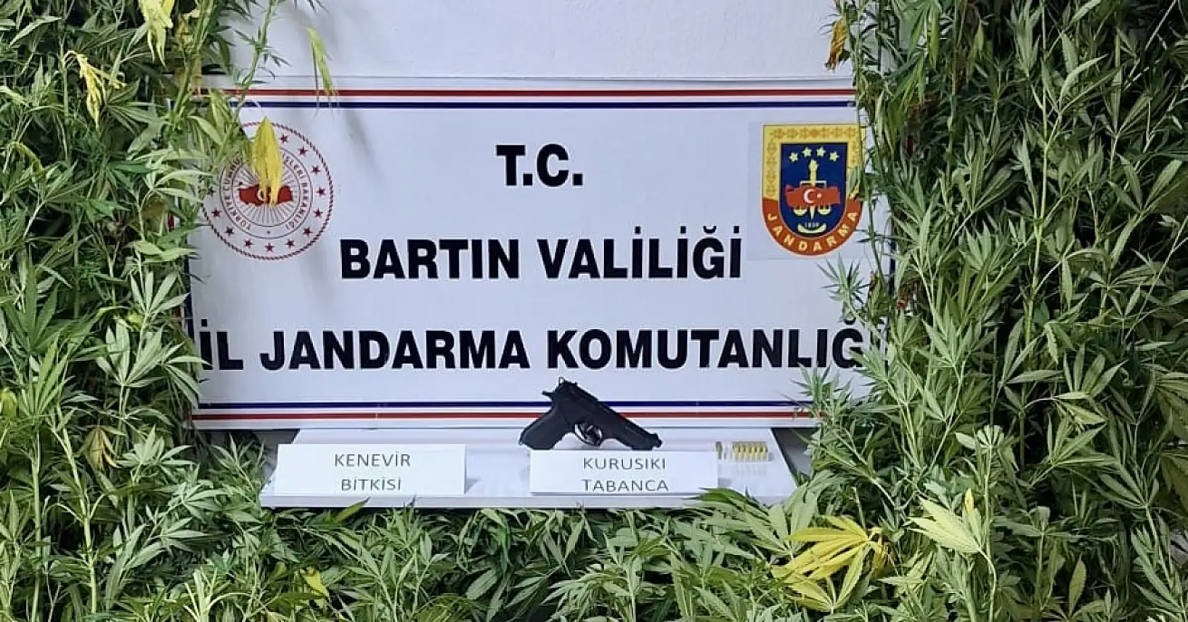 Amasra'da uyuşturucu operasyonu