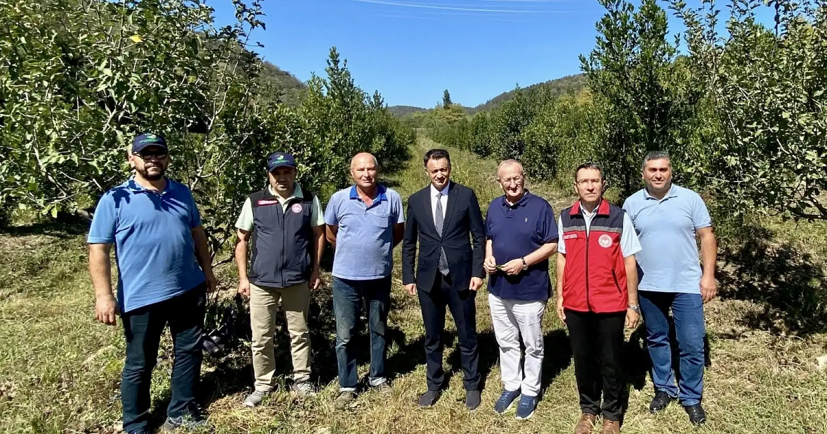 Defne tarımı yaygınlaşacak