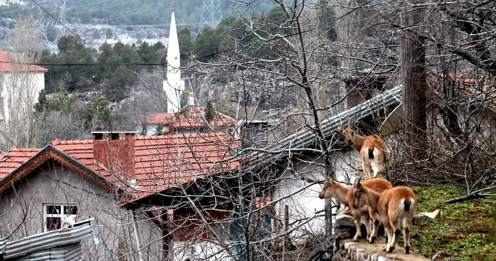 Yörüğün Harman Olduğu Topraklar, Akseki