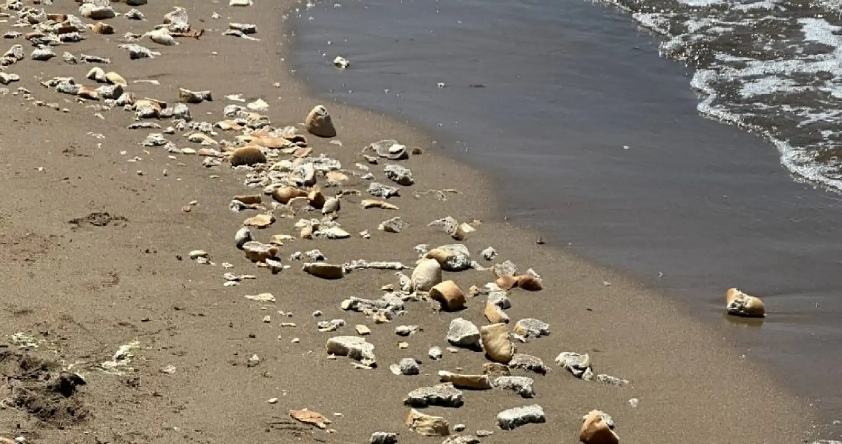 İnkumu sahilinde tepki çeken görüntü