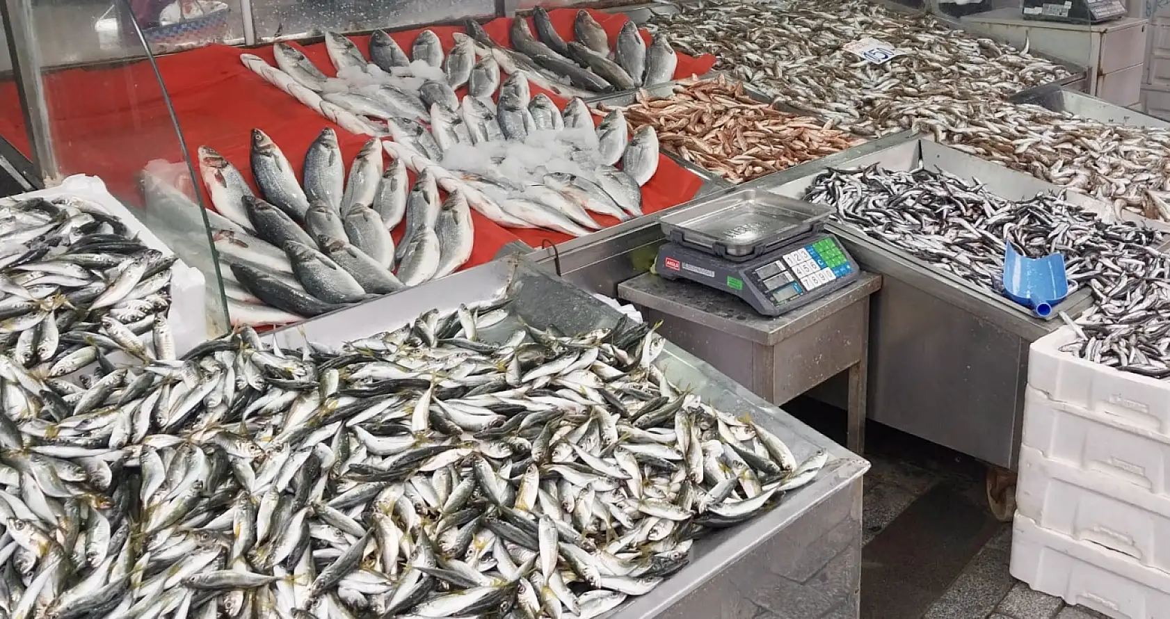 Mezgit vatandaşa yüzdü