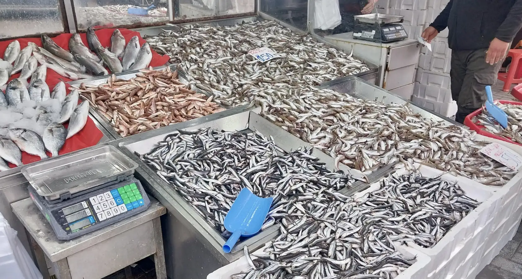 Mezgit vatandaşa yüzdü