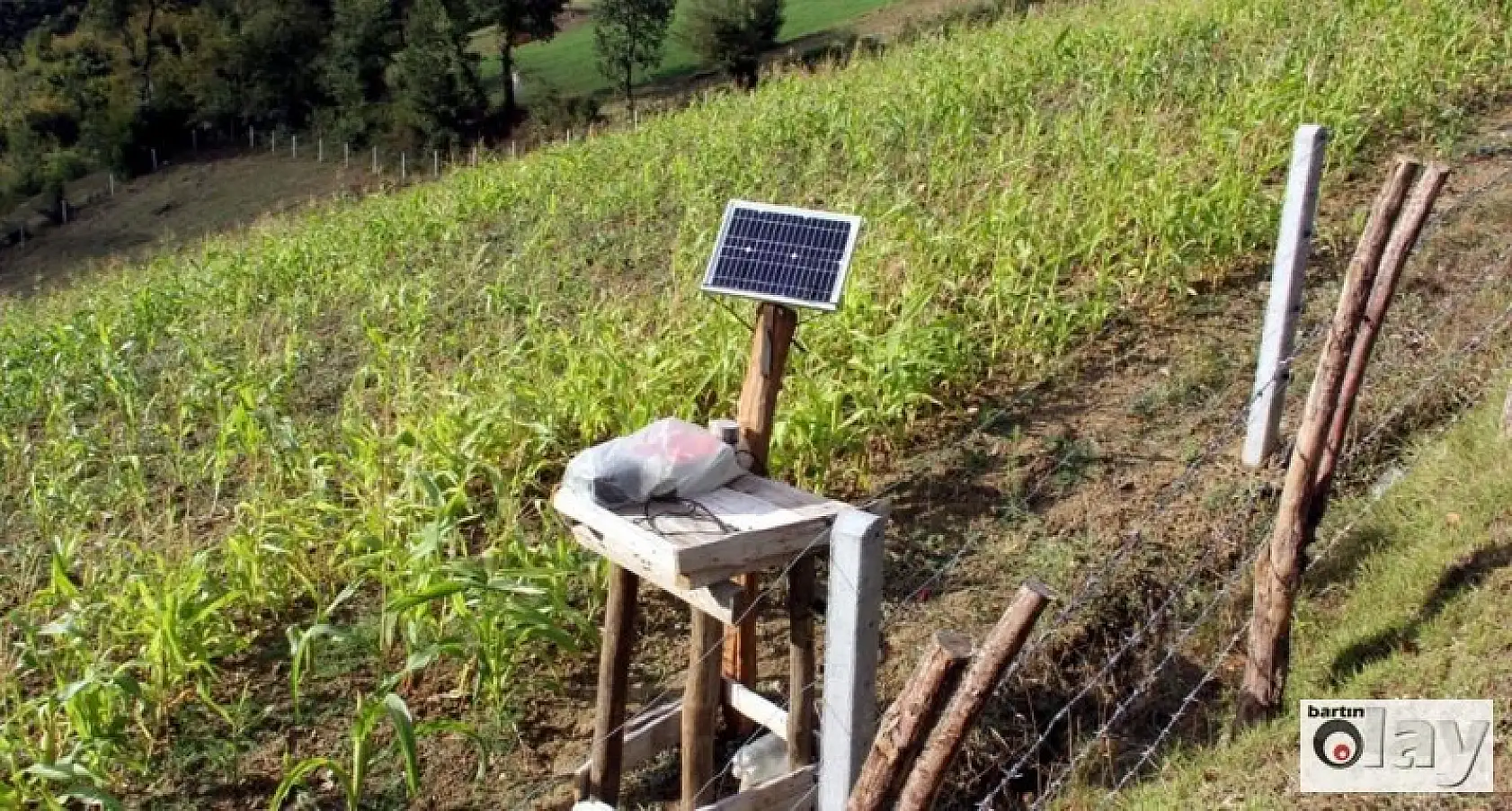 KÜRE DAĞLARI MİLLİ PARKI'NA ELEKTROŞOKLU KORUMA