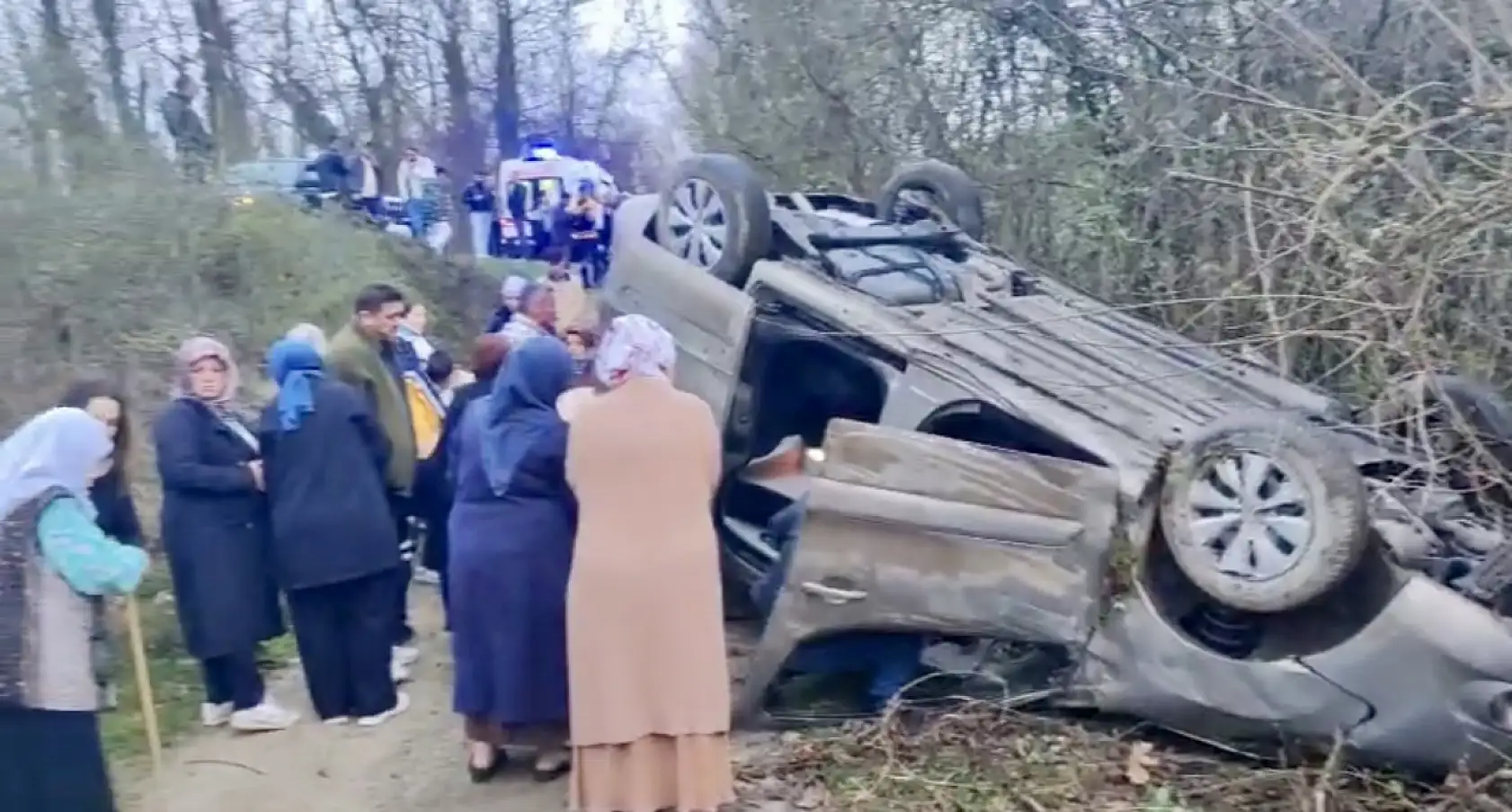 Ticari araç şarampole yuvarlandı