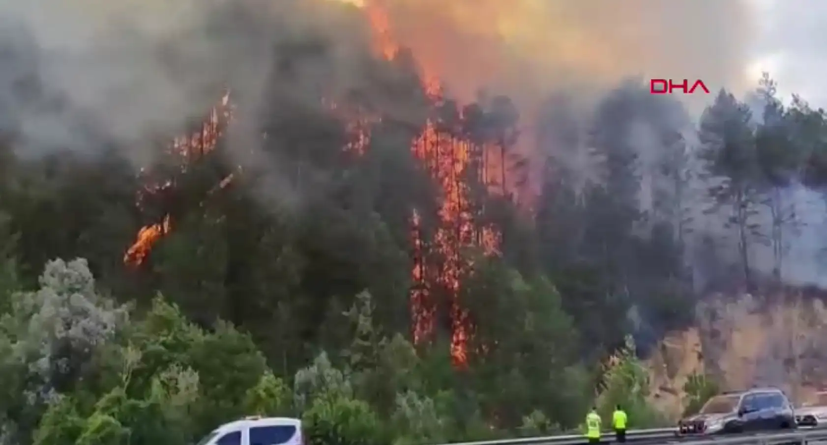 Mengen'de orman yangını