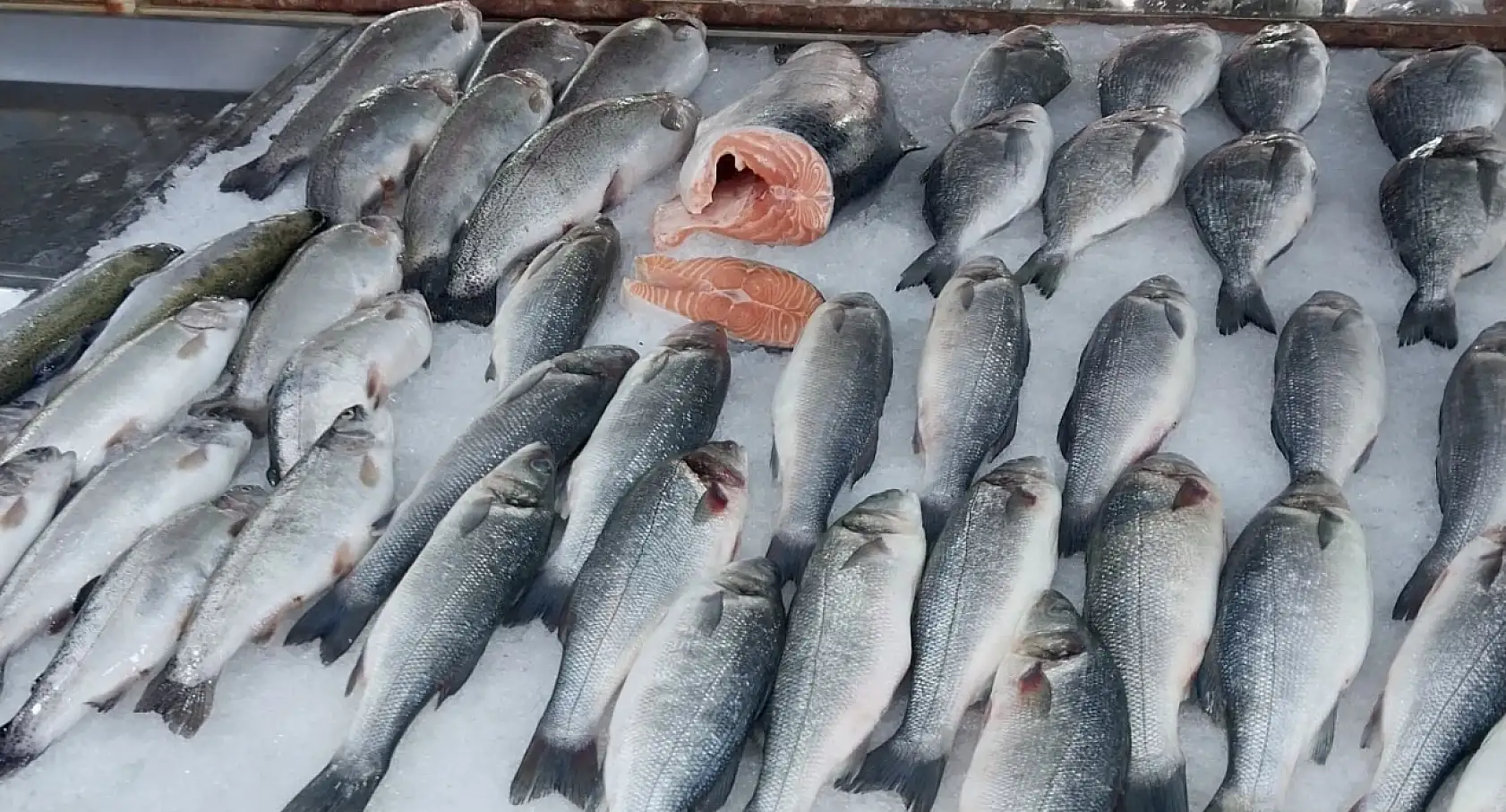 İster al ister alma