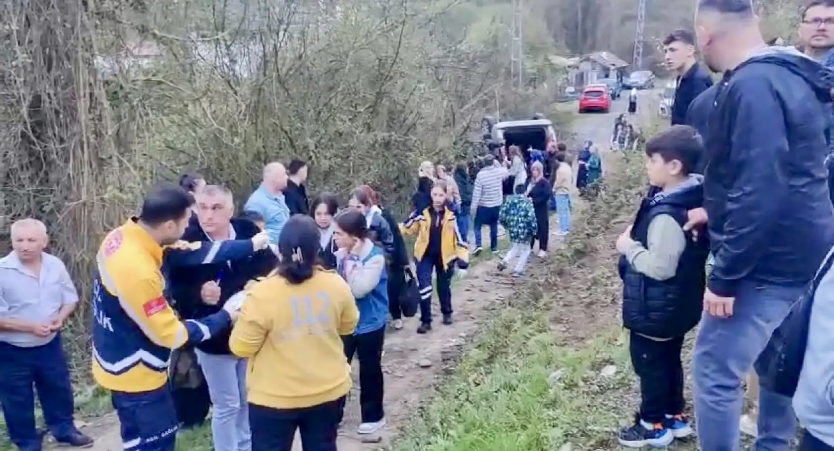 Ticari araç şarampole yuvarlandı