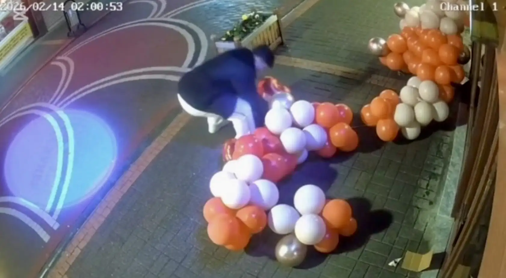 Bartın'da ilginç olay