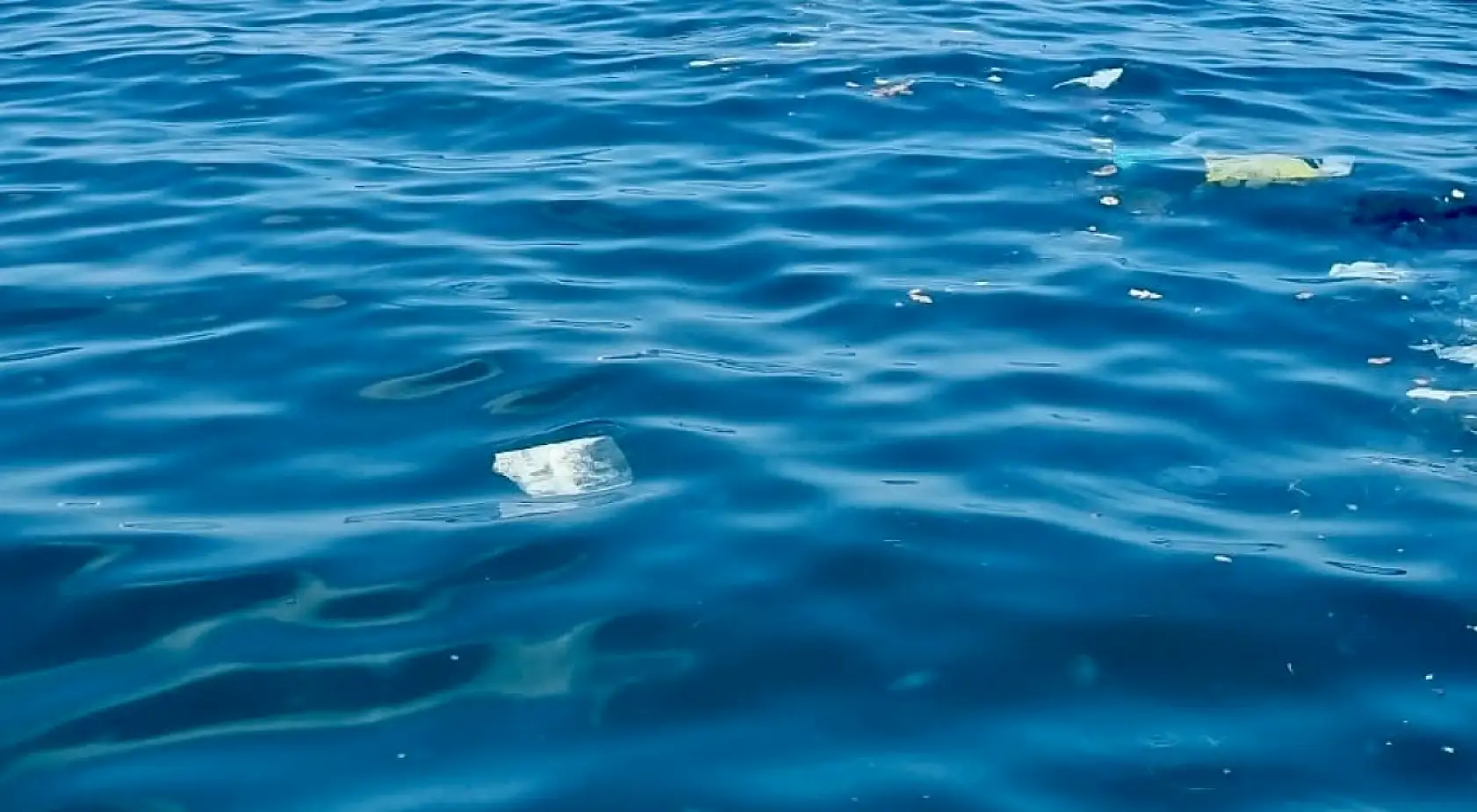 Amasra'da tepki çeken kirlilik