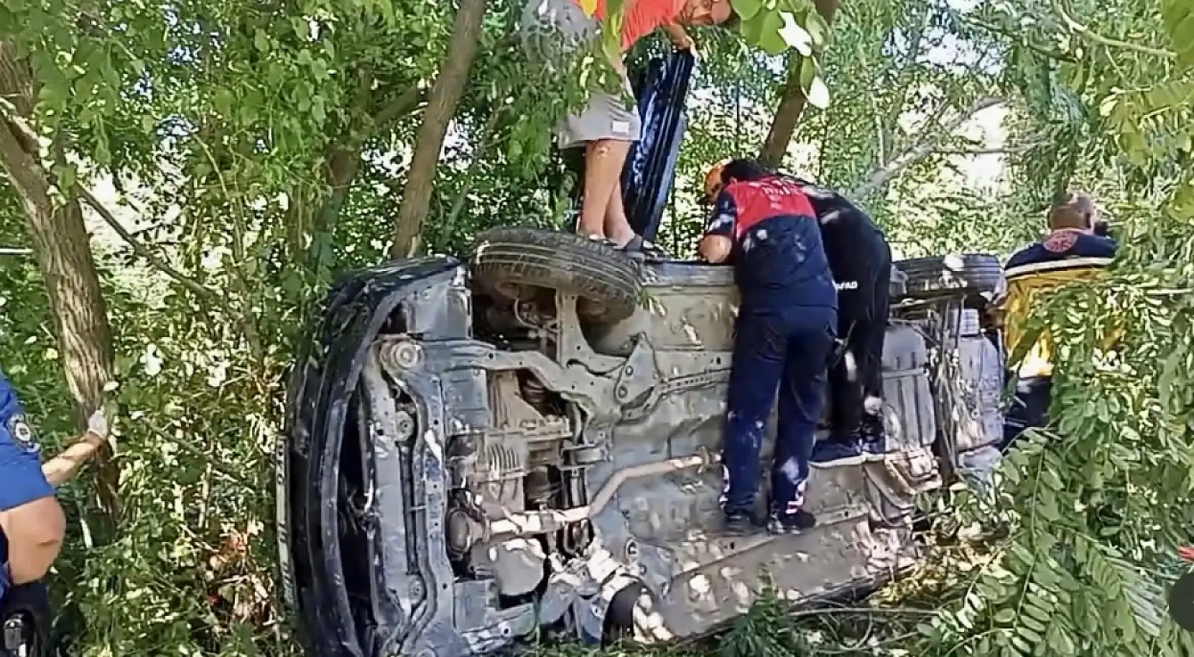 Yoldan çıktı, ağaca çarptı