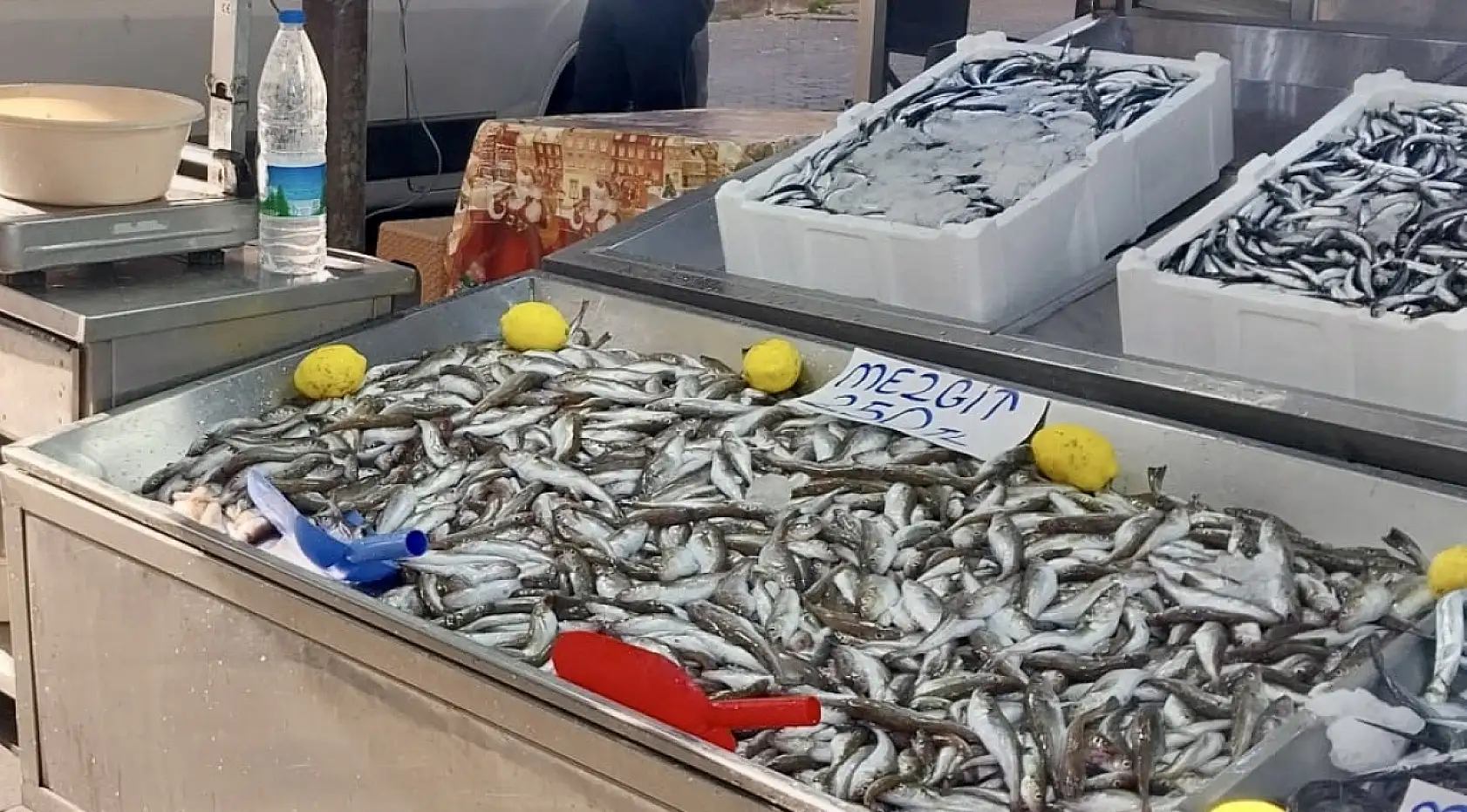 Mezgit kayığa çıkmıyor