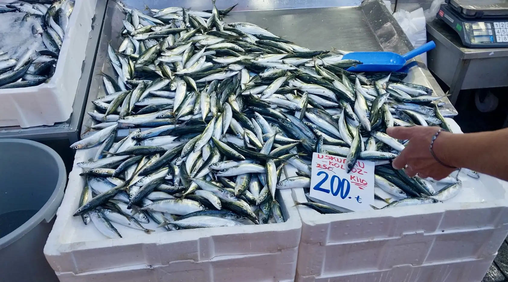 Denizle birlikte fiyatlar da dalgalandı