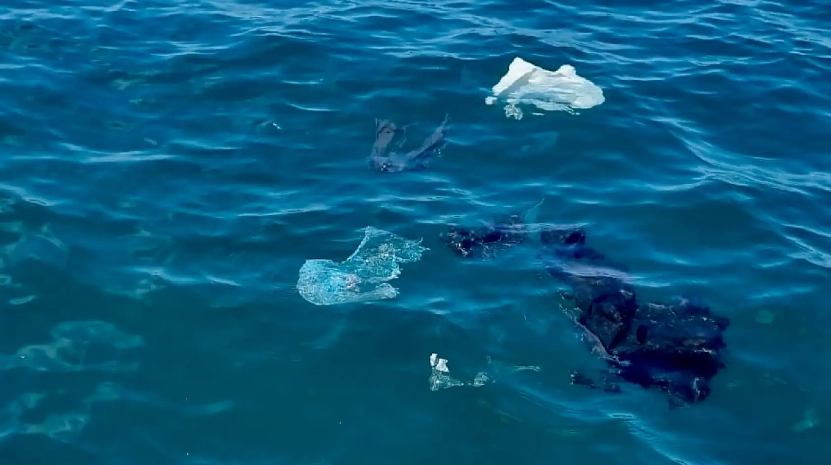 Amasra'da tepki çeken kirlilik