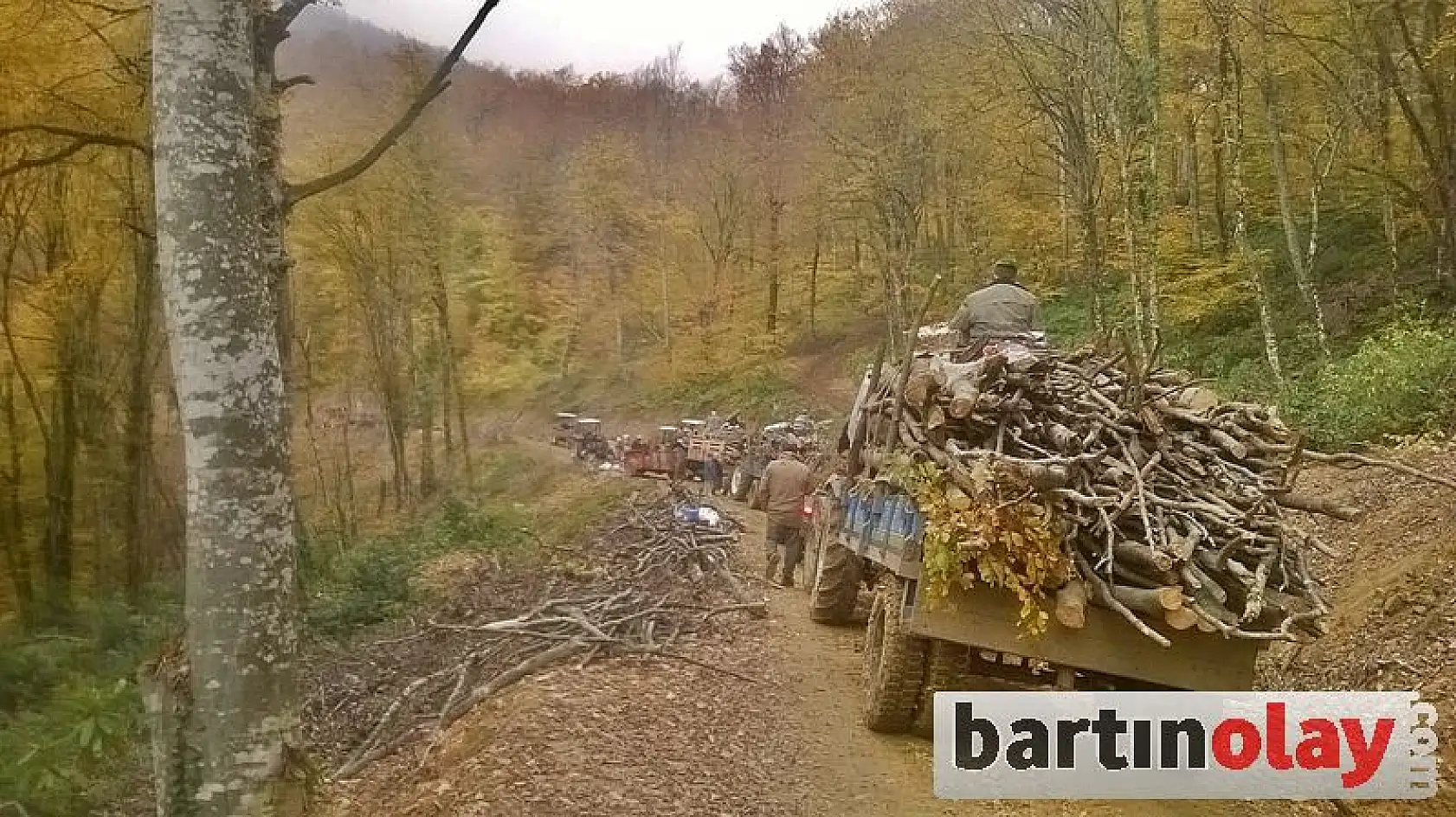 kestiği ağacın altında can verdi