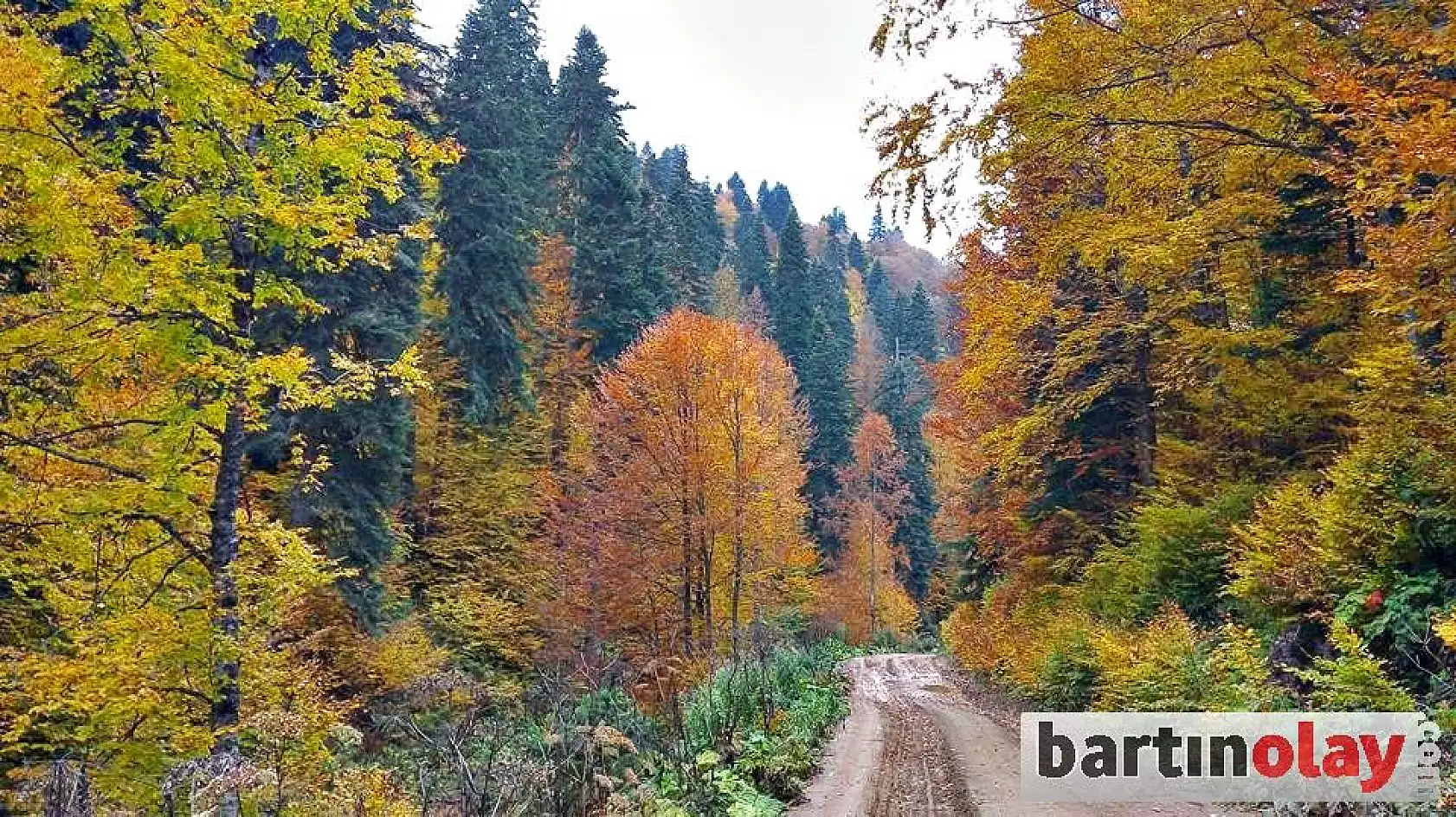 Bartın yaylalarında renk cümbüşü 