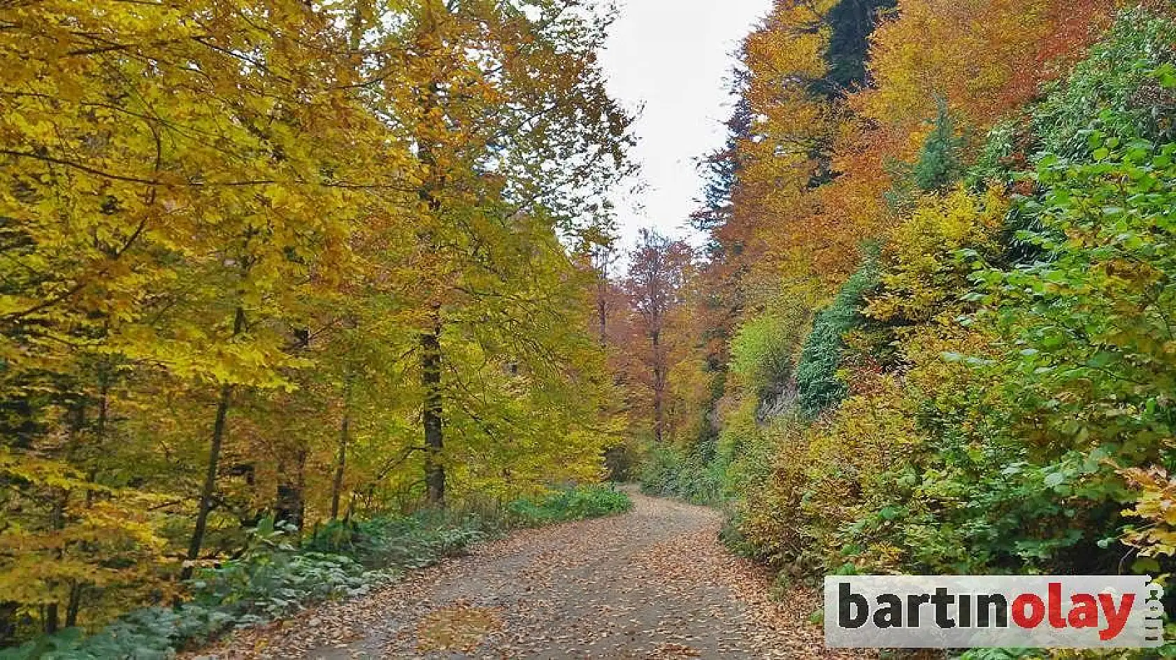 Bartın yaylalarında renk cümbüşü 