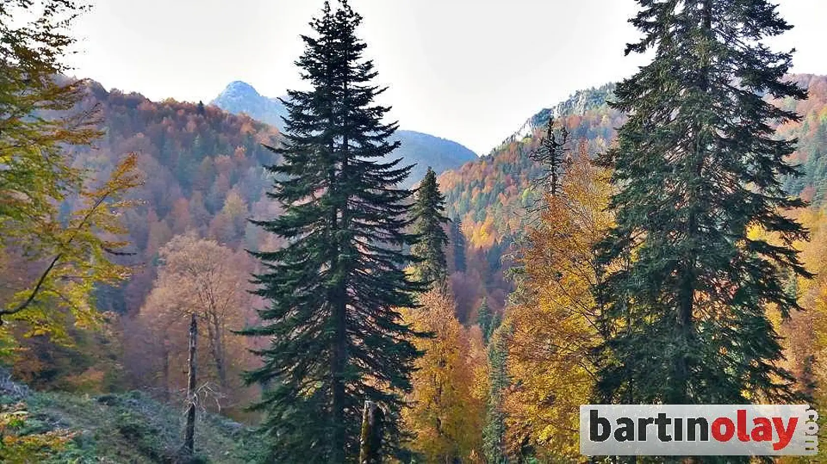 Bartın yaylalarında renk cümbüşü 