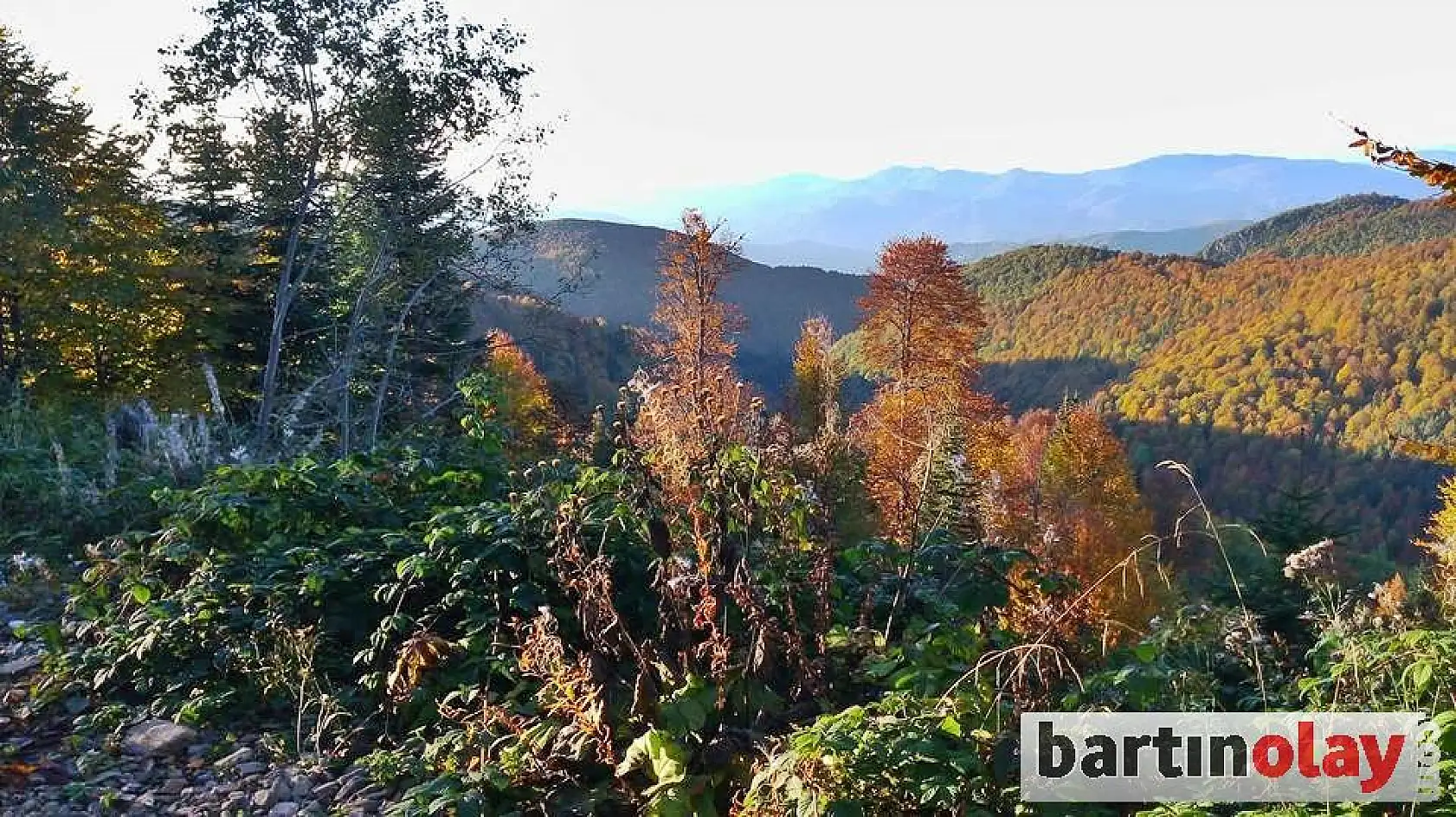 Bartın yaylalarında renk cümbüşü 