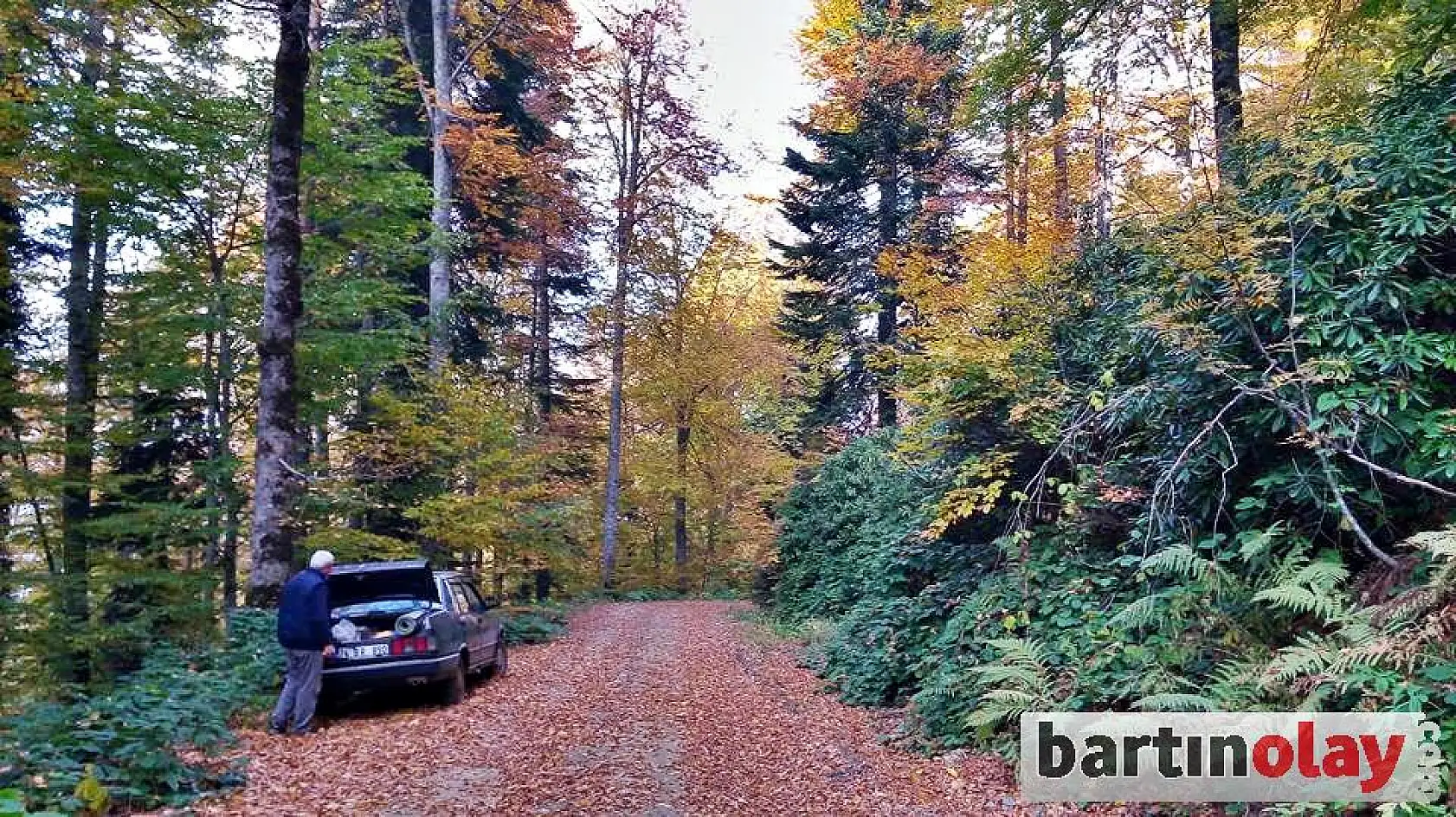 Bartın yaylalarında renk cümbüşü 