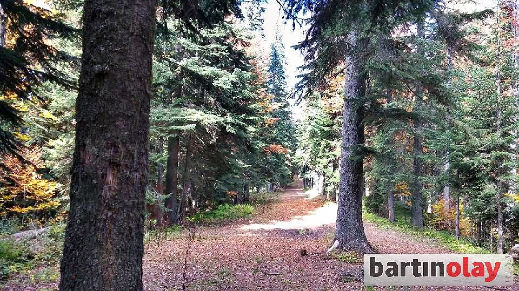 Bartın yaylalarında renk cümbüşü 