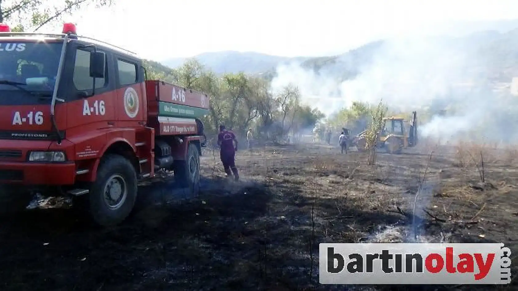 Bartın'da orman yangını