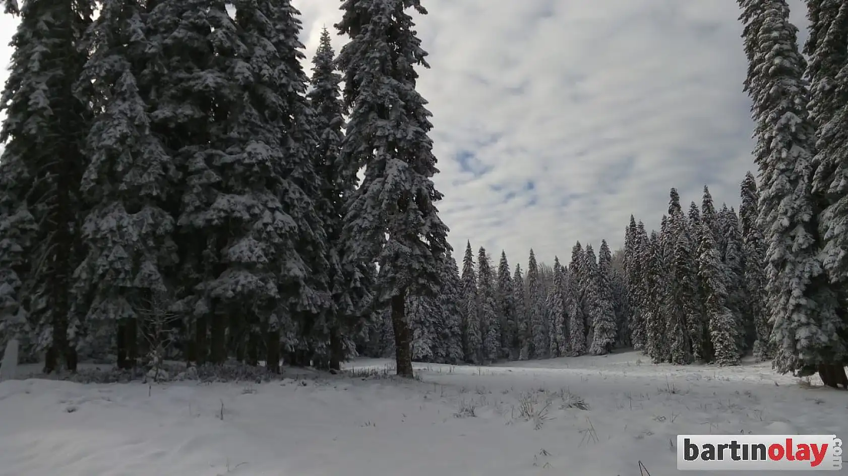 Gezen yaylasından büyüleyen kar manzaraları