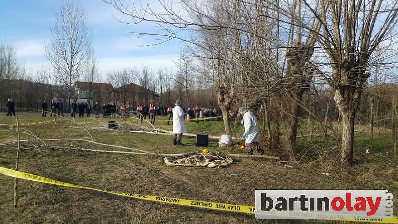 Ağaç budarken düşerek öldü