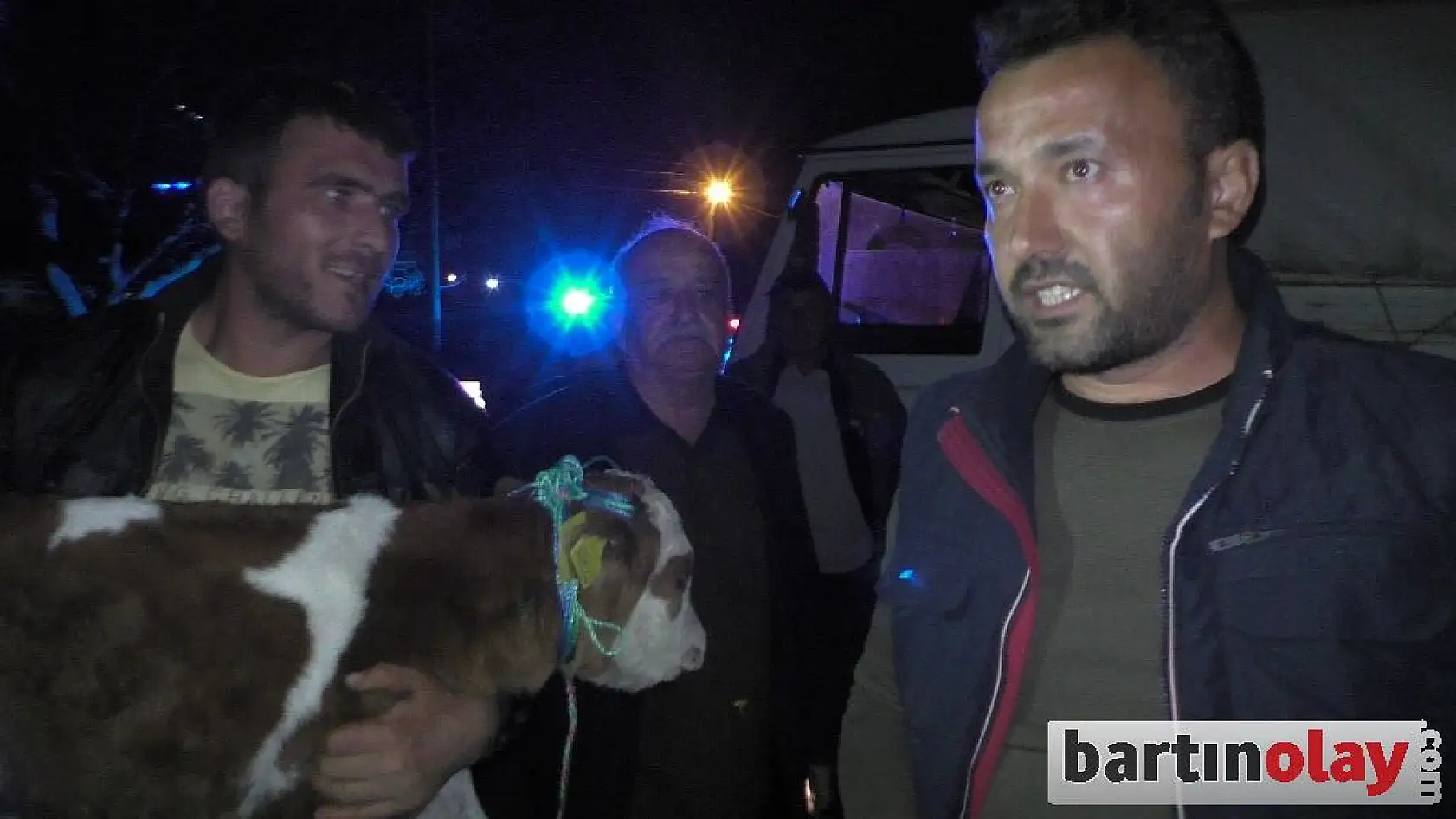 15 hayvan sahiplerine teslim edildi