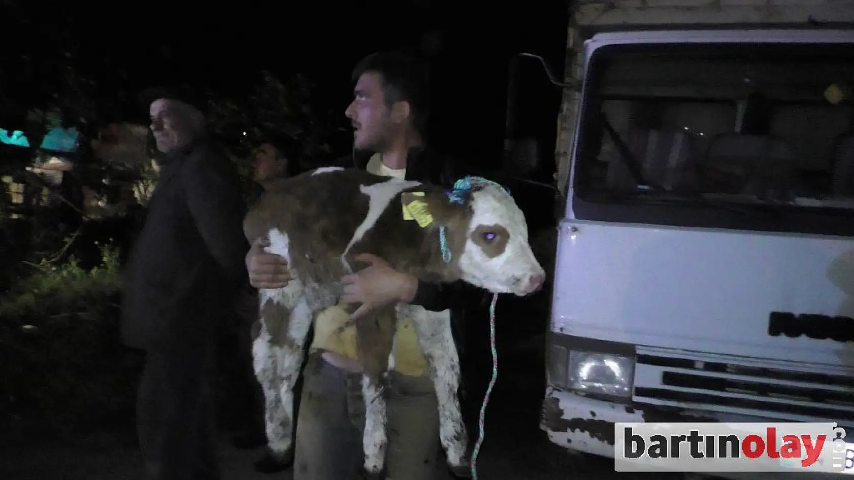 15 hayvan sahiplerine teslim edildi