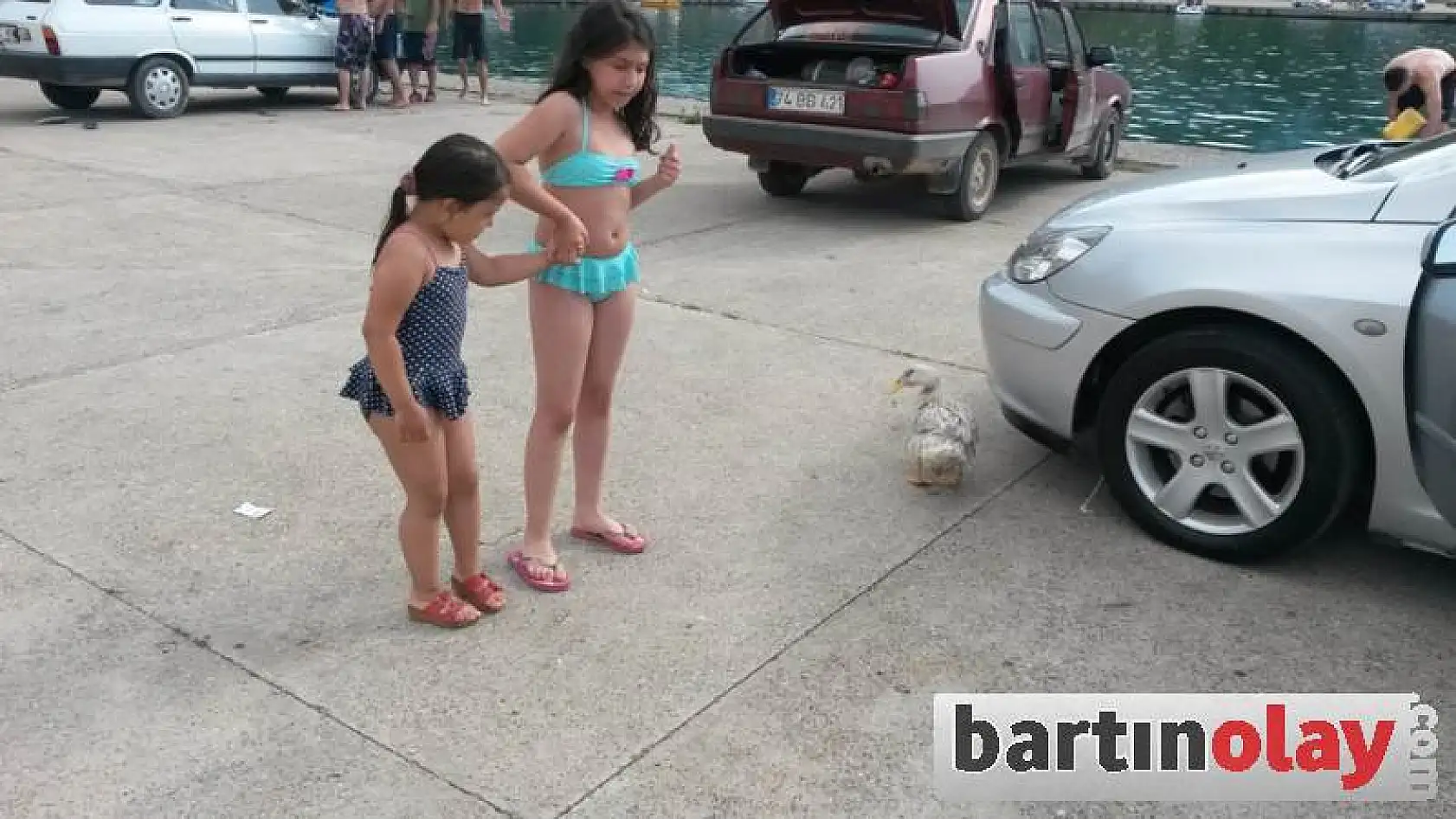 Ördek İle Dostluğu Görenleri Şaşırtıyor