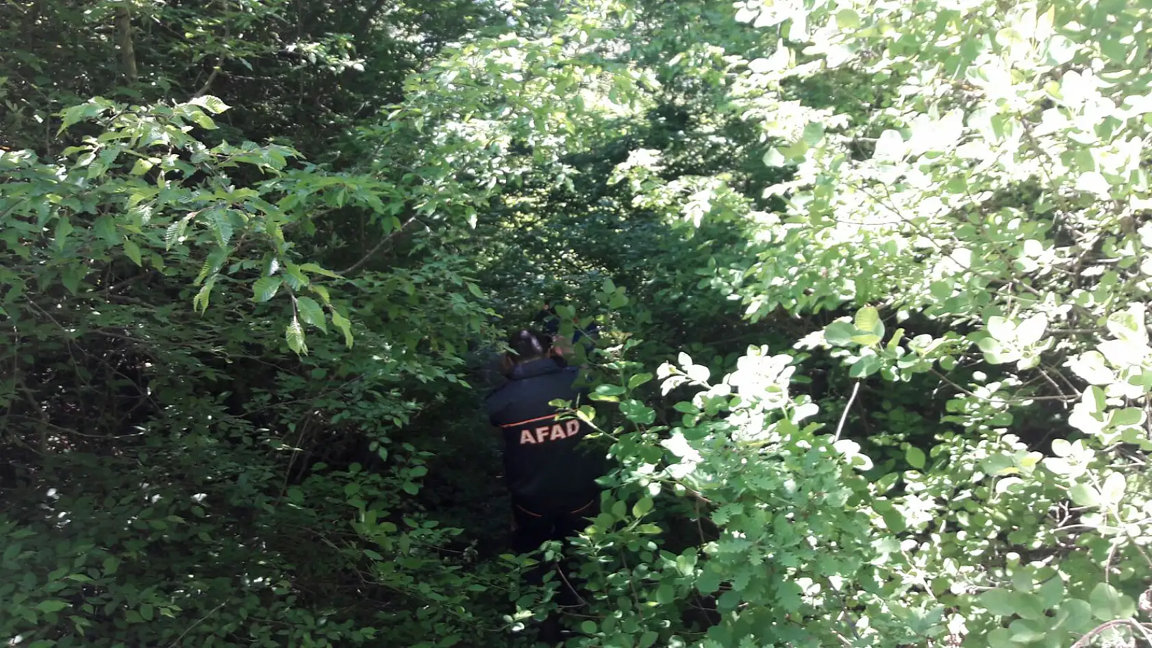 3 gündür kayıp olan yaşlı adam aranıyor