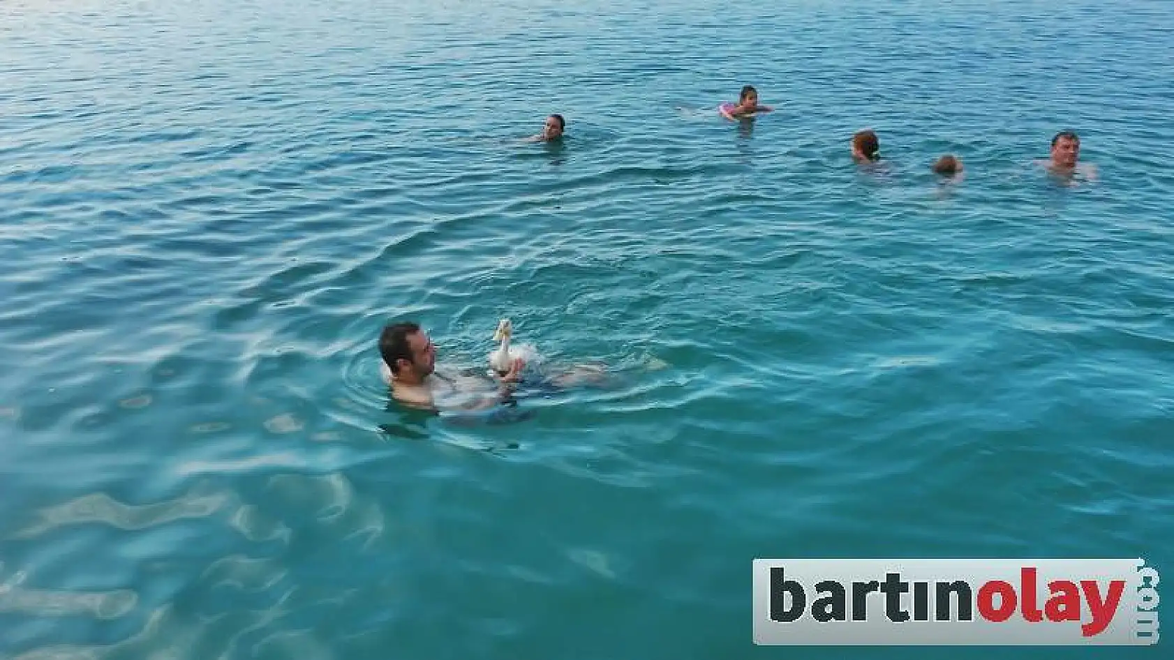 Ördek İle Dostluğu Görenleri Şaşırtıyor