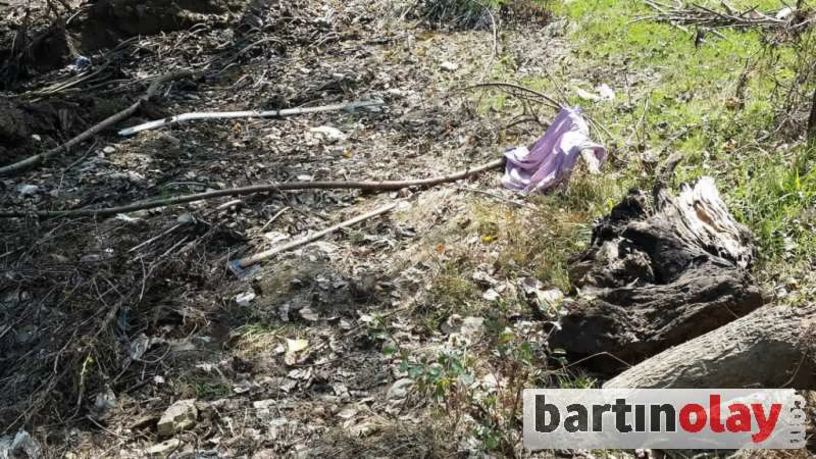 KESTİĞİ AĞAÇ ÜZERİNE DÜŞTÜ ÖLDÜ