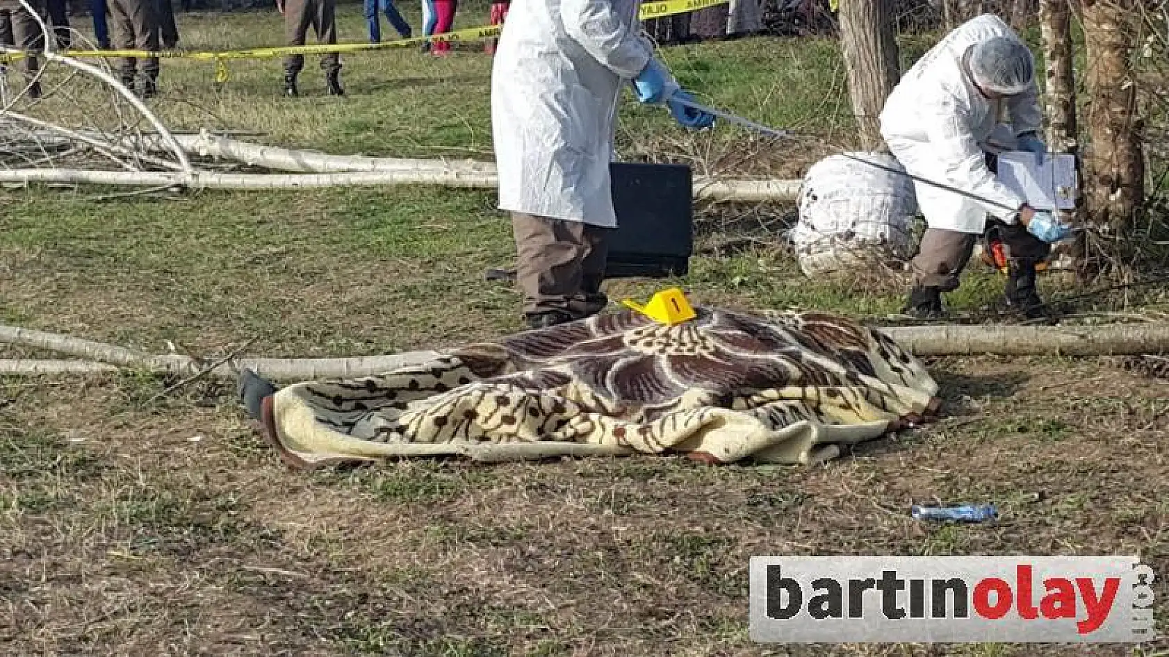 Ağaç budarken düşerek öldü