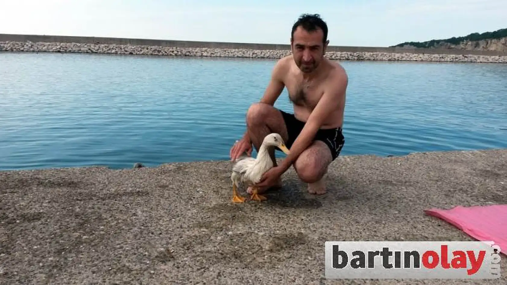 Ördek İle Dostluğu Görenleri Şaşırtıyor