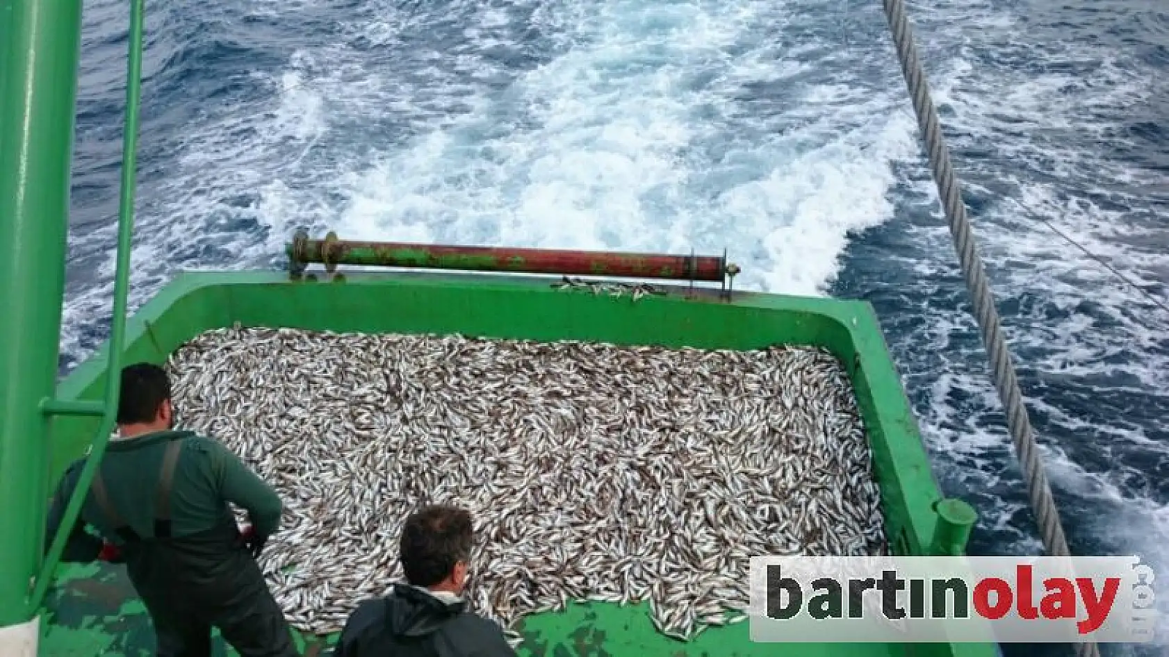Amasra'da köpekbalığı yakalandı