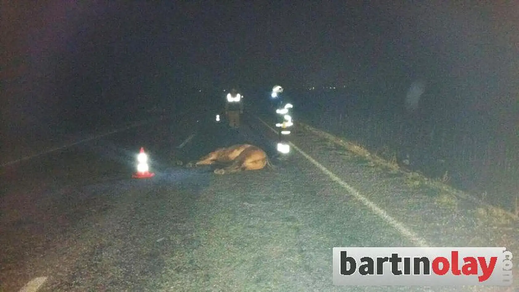 Ata çarpan otomobil şarampole yuvarlandı