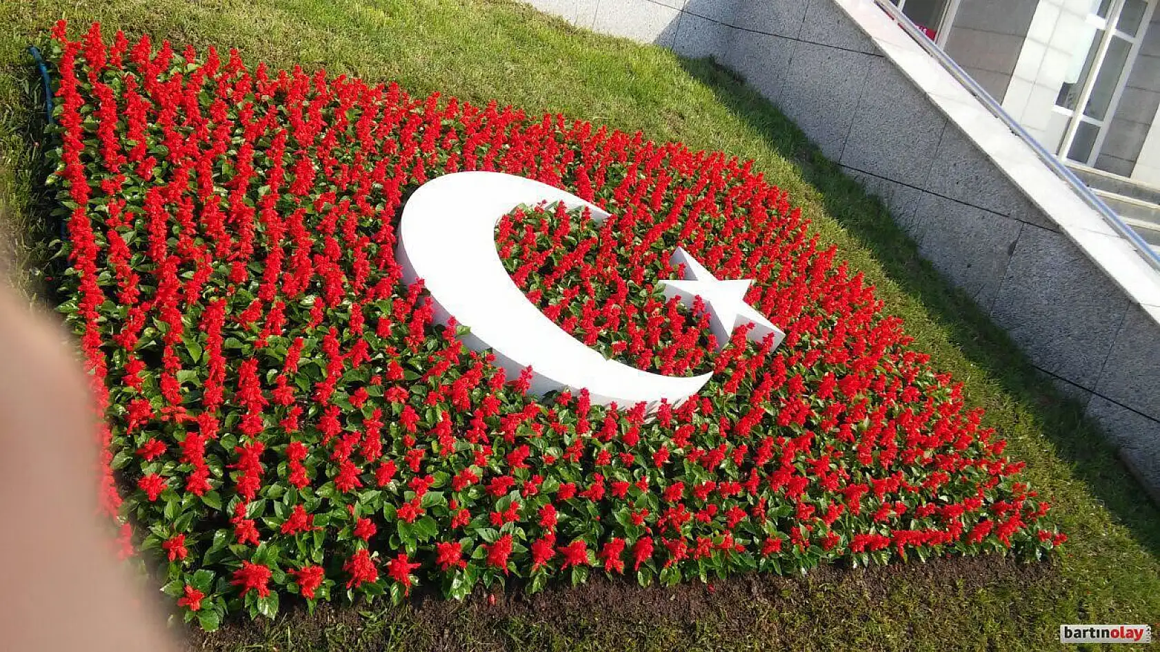 Ay Peyzaj çiçekçilik bahçelerinizi güzelleştiriyor