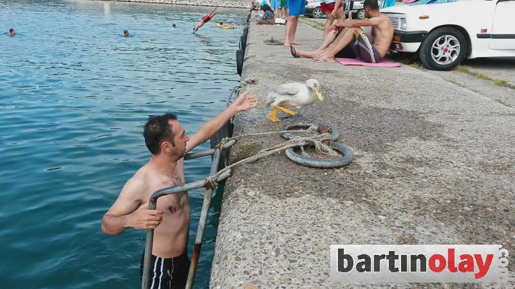 Ördek İle Dostluğu Görenleri Şaşırtıyor