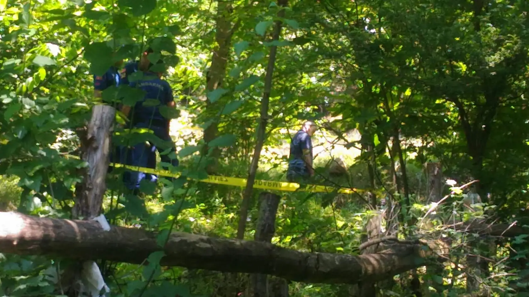 Bahçede korkunç manzara