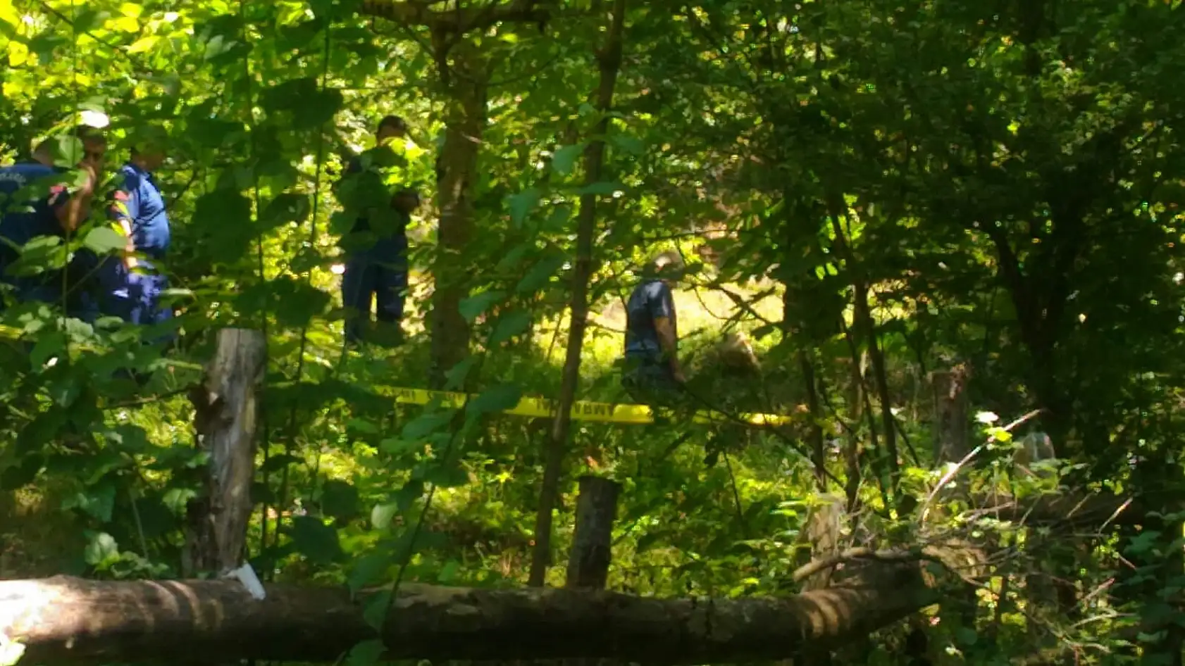 Bahçede korkunç manzara