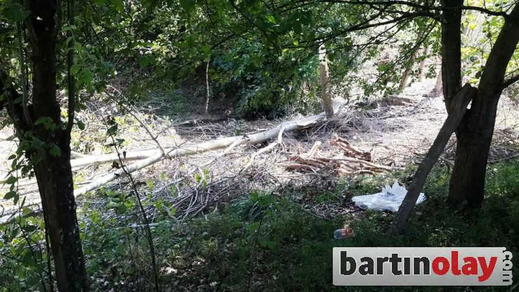 KESTİĞİ AĞAÇ ÜZERİNE DÜŞTÜ ÖLDÜ